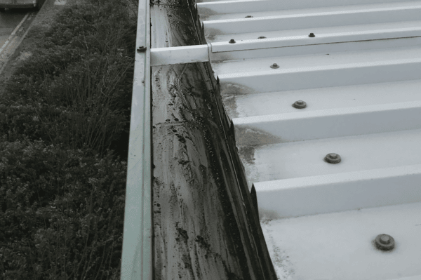 Commercial gutter cleaning specialists in Faringdon